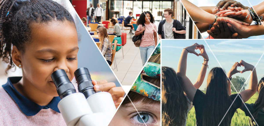 Beyond Academic Learning: First results from the survey of social and emotional skills